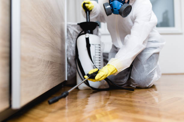 Best Flea Control Services  in Oglala, SD