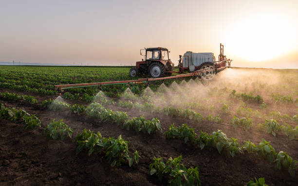 Pest Prevention Services in Oglala, SD