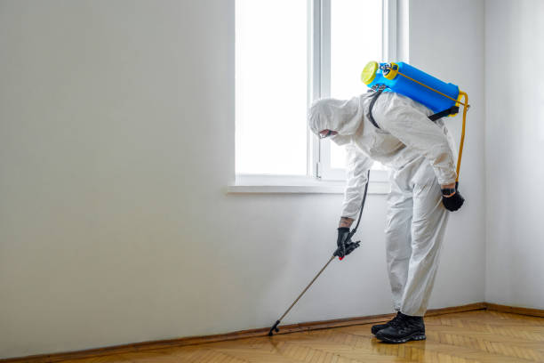 Best Insect Control  in Oglala, SD