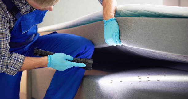 Best Wasp Removal Services  in Oglala, SD
