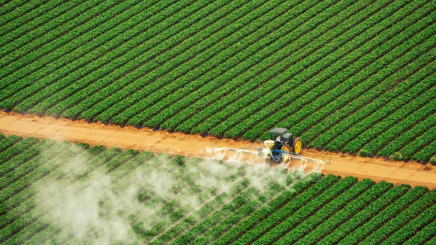 Best Wasp Removal Services  in Oglala, SD