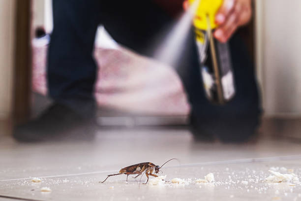 Best Cockroach Control Services  in Oglala, SD
