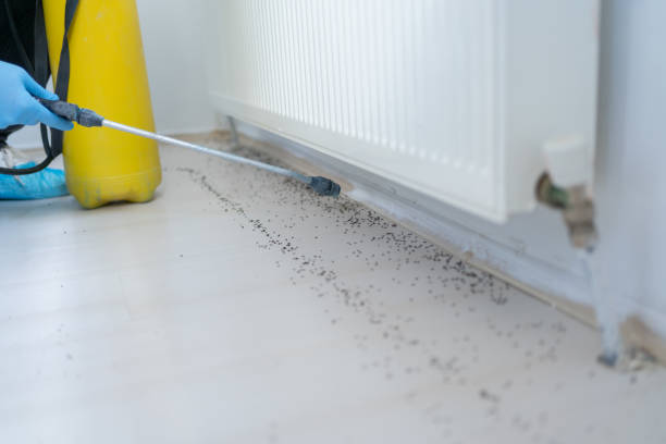 Best Bed Bug Extermination  in Oglala, SD